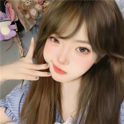 布里斯比熊